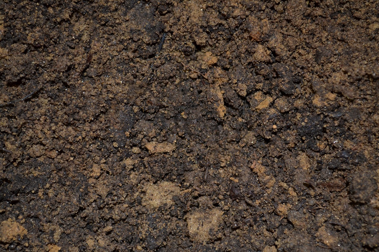 dirt, soil, potting-947985.jpg